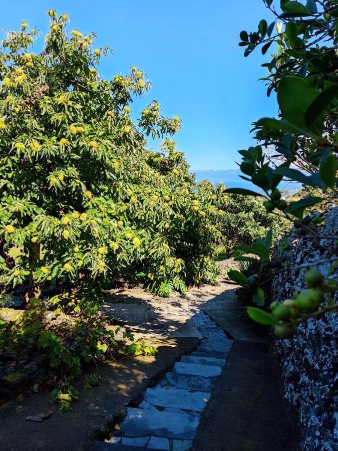 A Fonte Santo Antônio Exterior foto